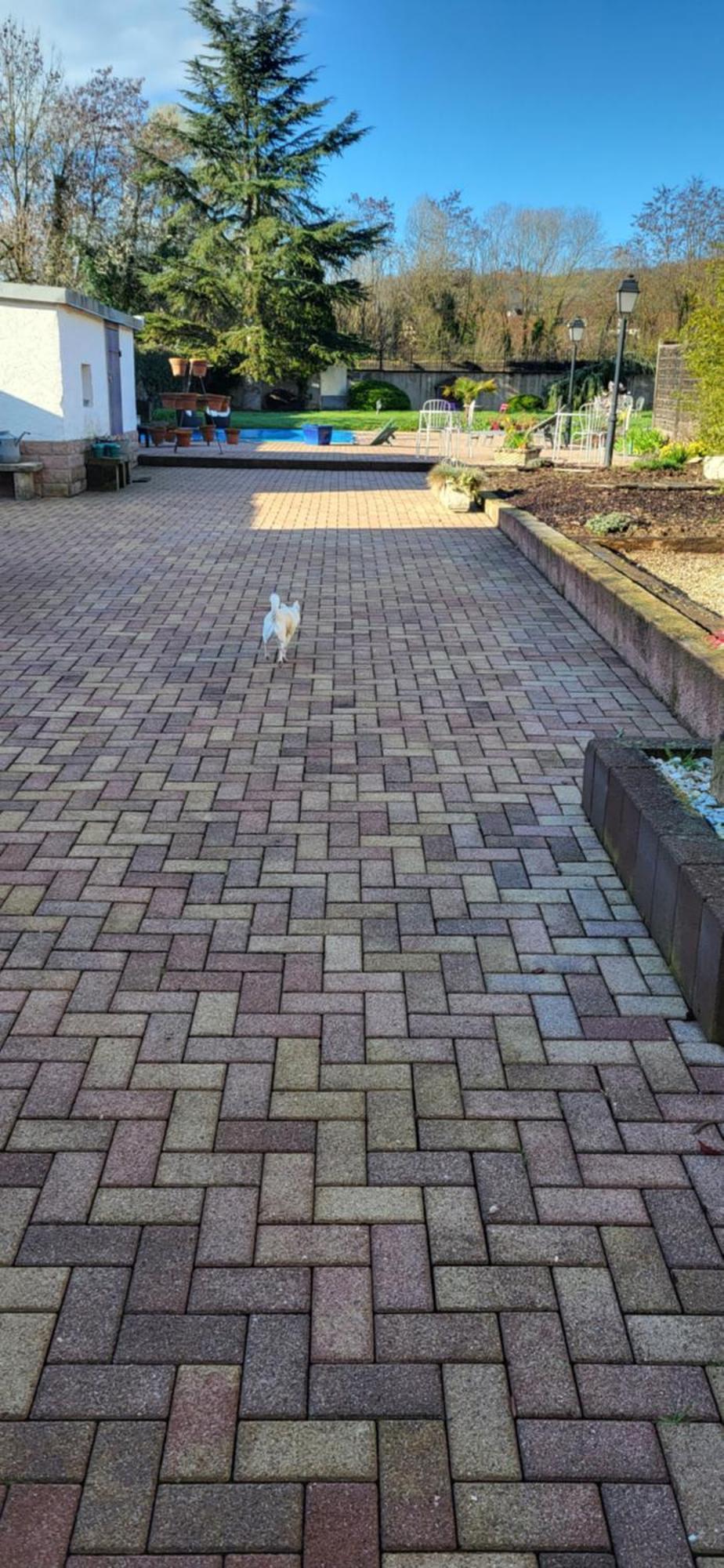 Relais Du Dompeter Panzió Molsheim Kültér fotó